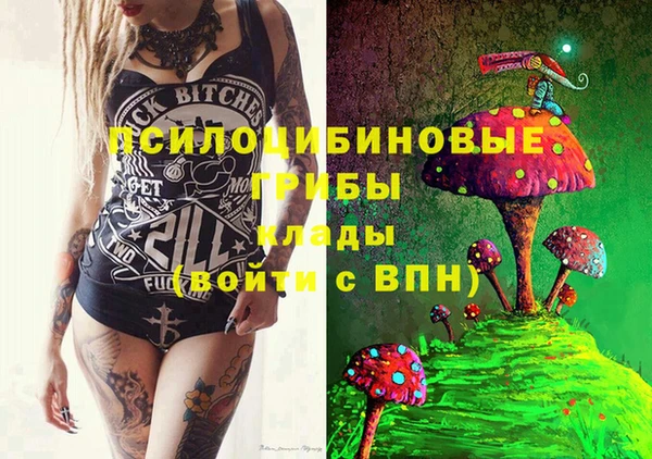 бошки Алексеевка